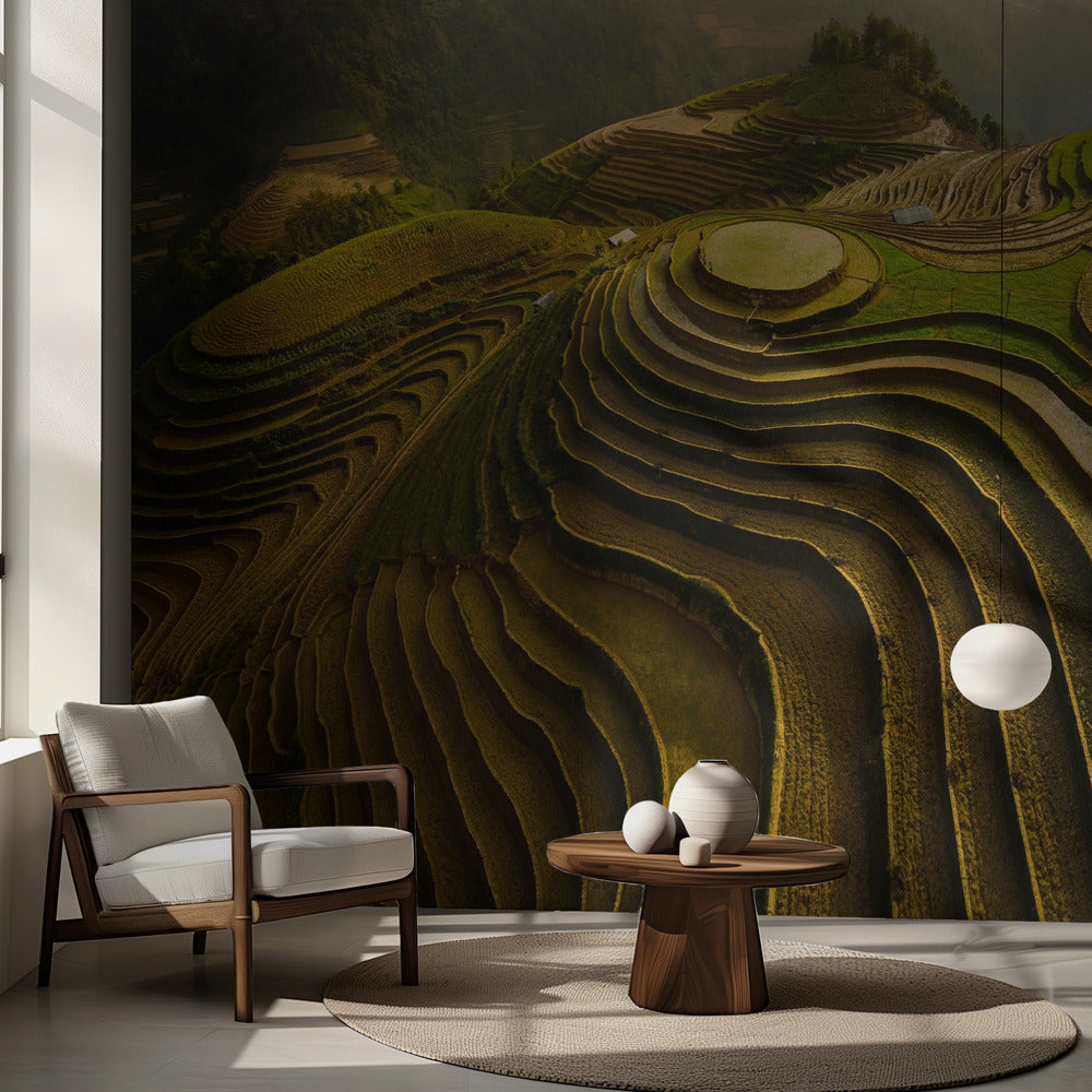 mu cang chai - vietnam | Tapet