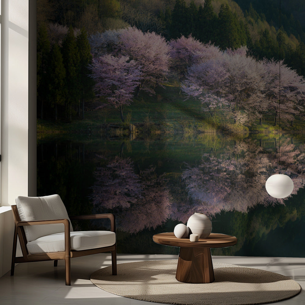 Sakura | Tapet