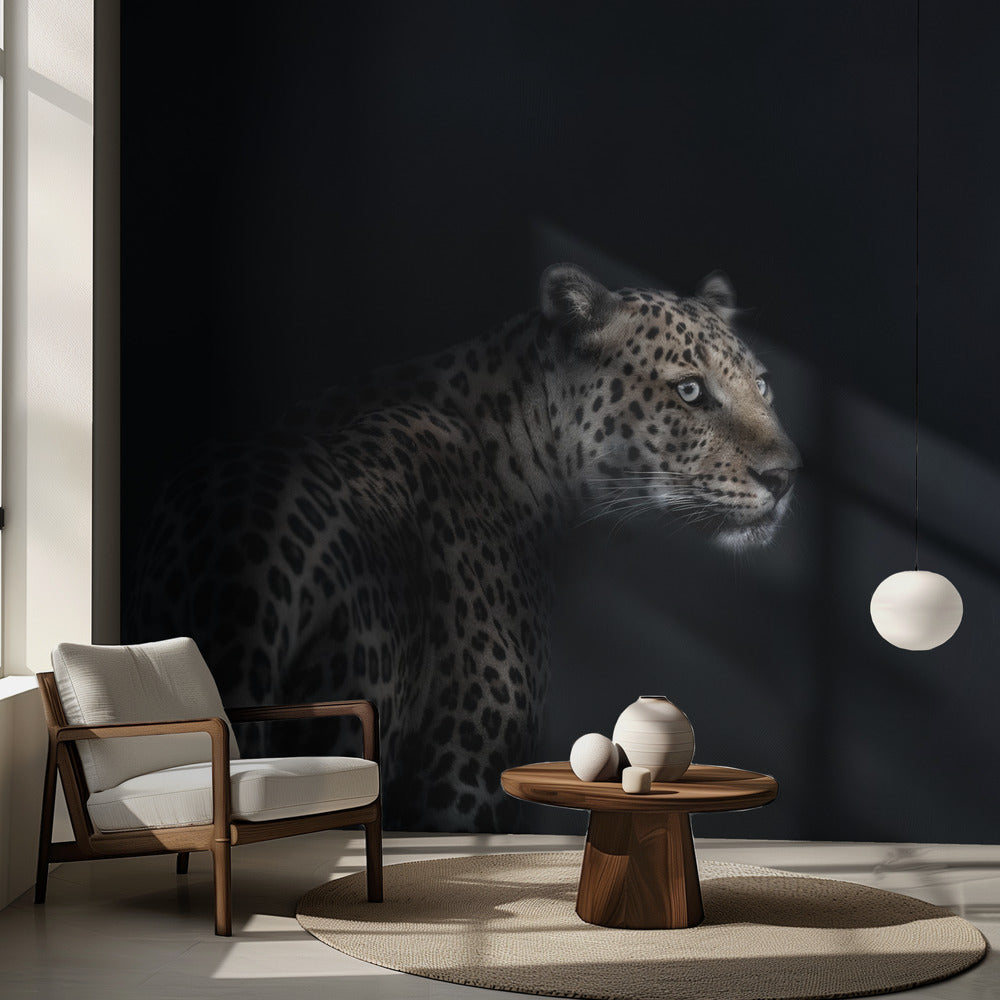 Imagination | Papier Peint Photo
