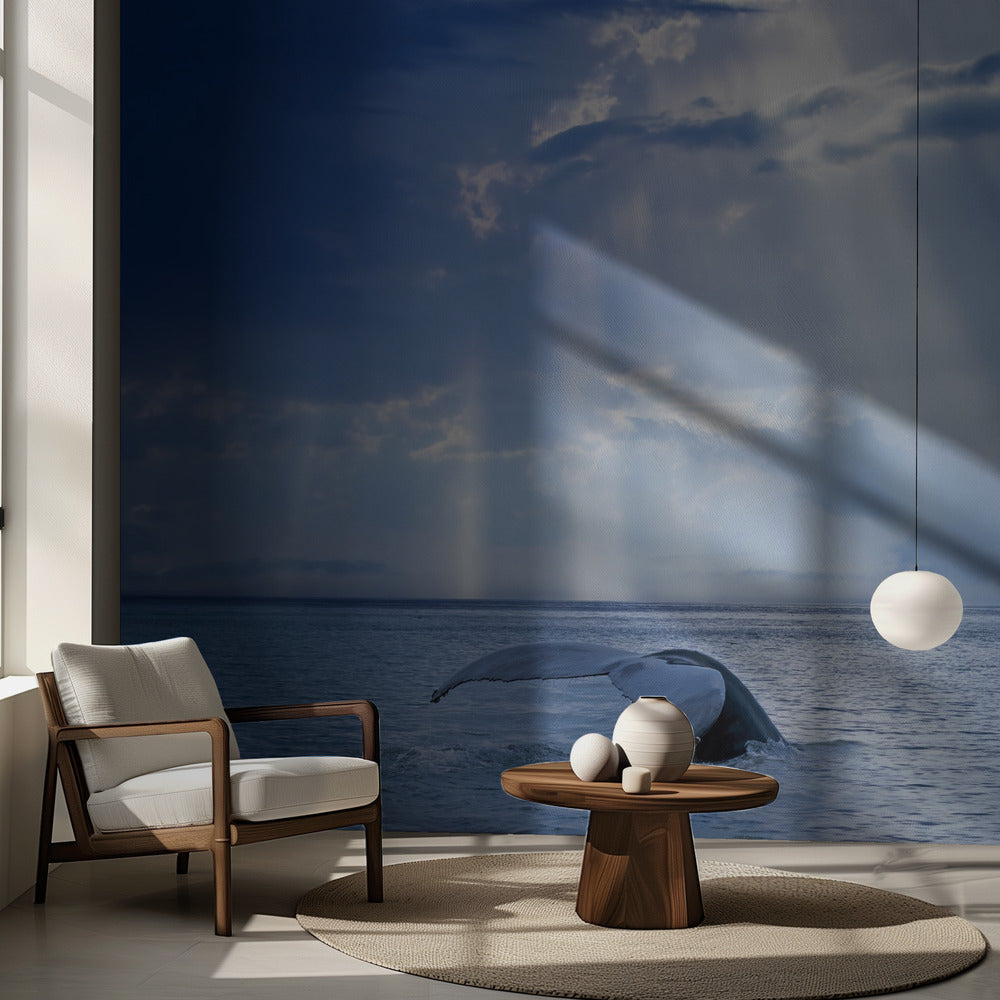 Whale and sun rays | Wallpaper