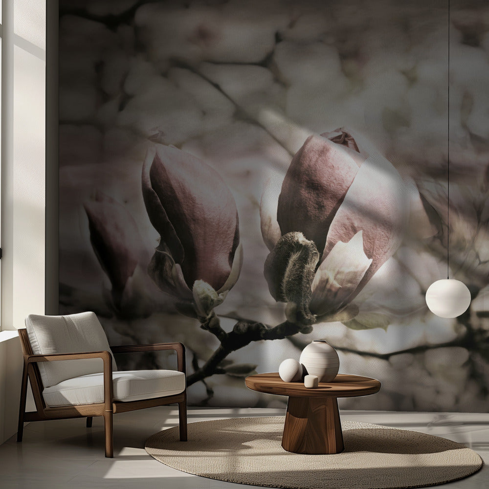Magnolia vår | Tapet