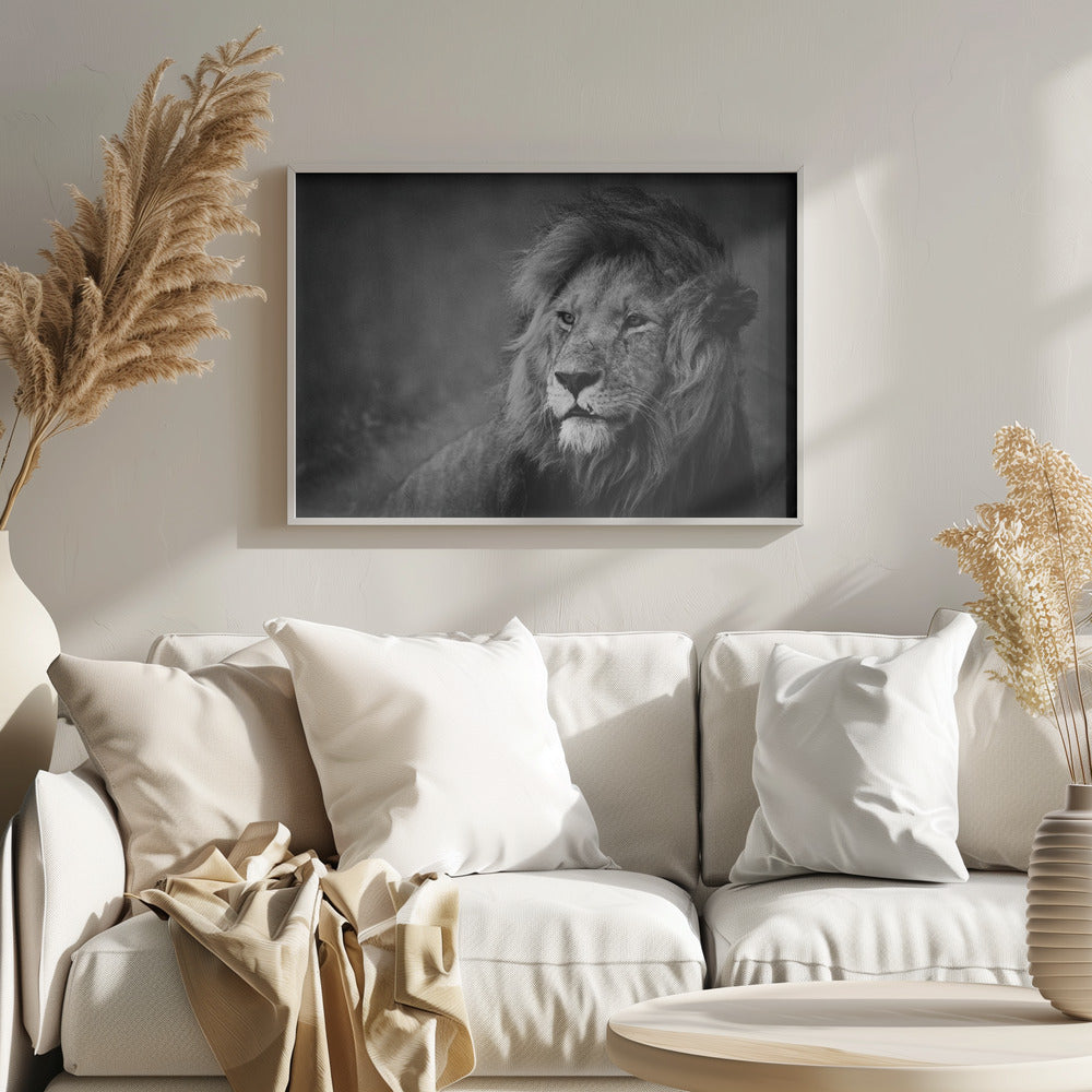 Regal | Affisch
