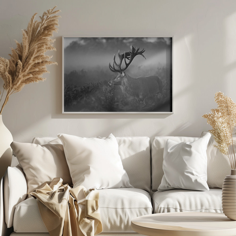 Solig morgon | Poster