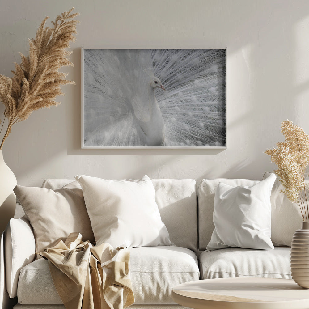 Vit som snö | Poster