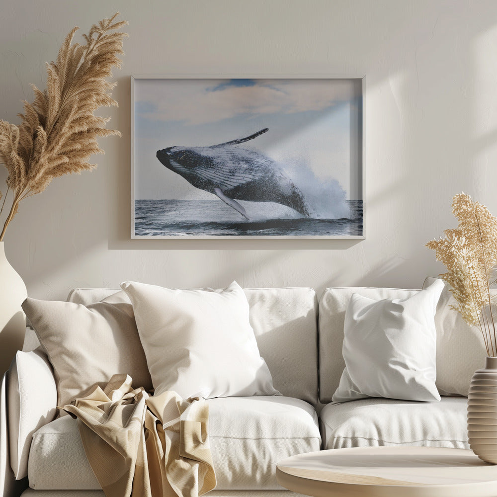 intrång | Affisch
