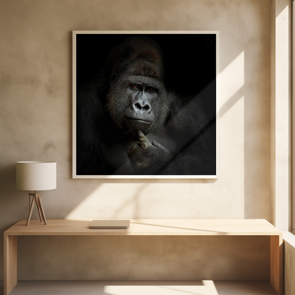 Jag är cogito, ergo sum | Poster