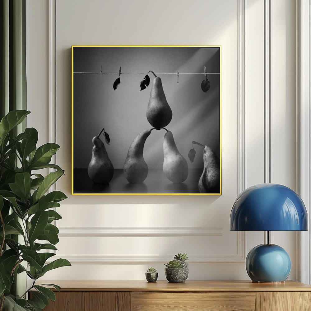 Lavar y secar | Posters  - Impresiones de Arte