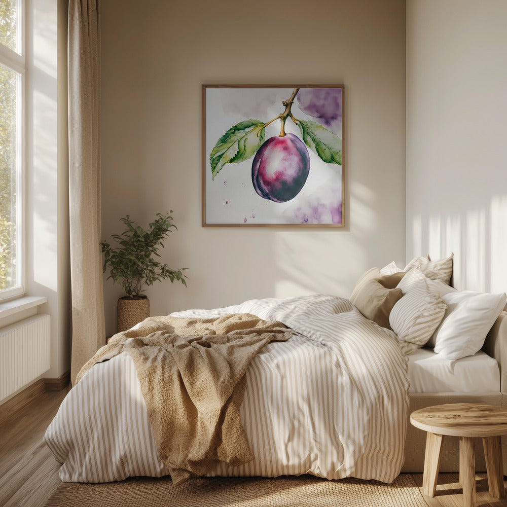 Pflaume, Aquarell, ink | Poster - Kunstdruck