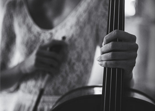 paus för cello | Canvas