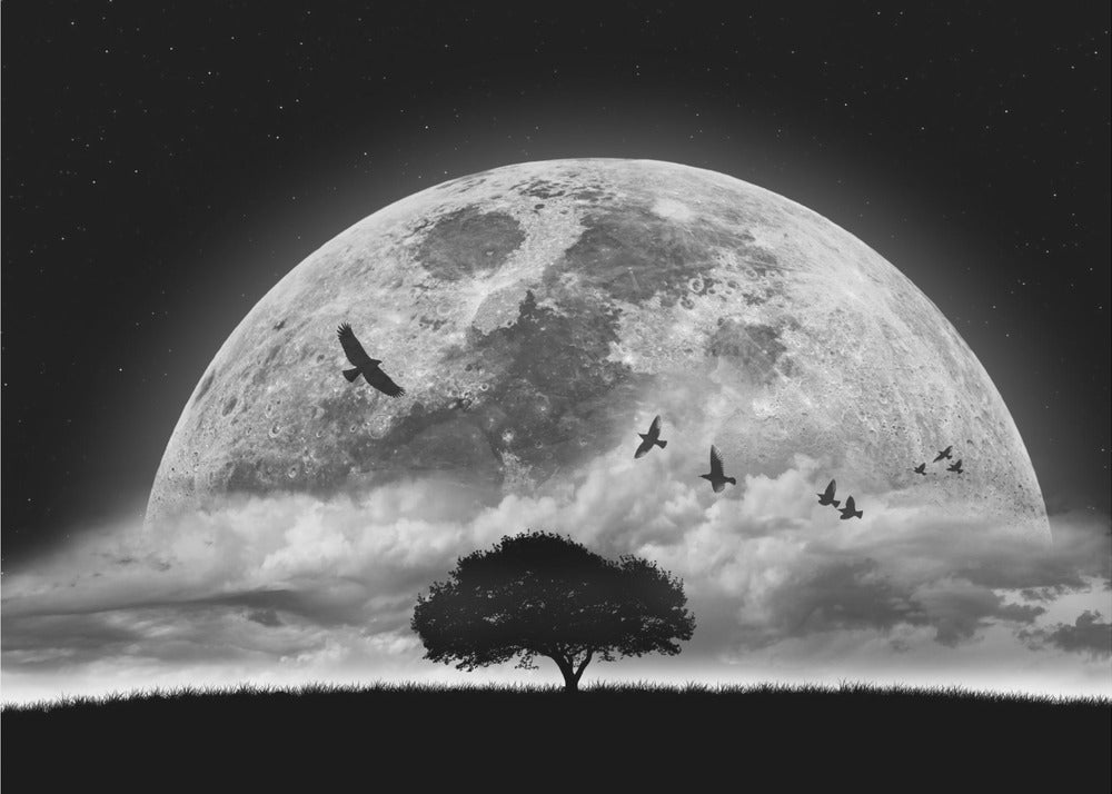 A Dream | Wallpaper