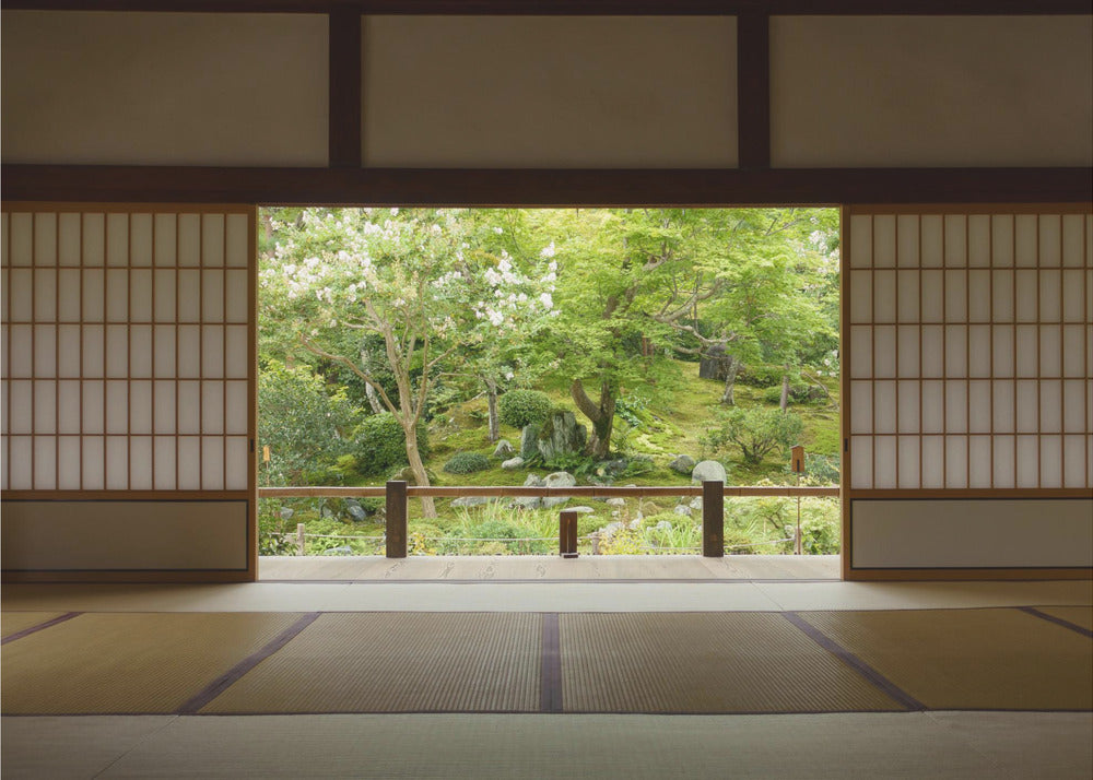 Zen-Zone | Fototapeten