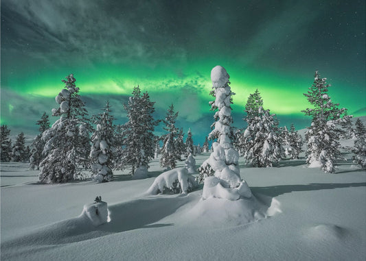Polarnatt | Tapet