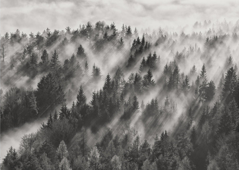 Sundance nr 1 | Fototapet