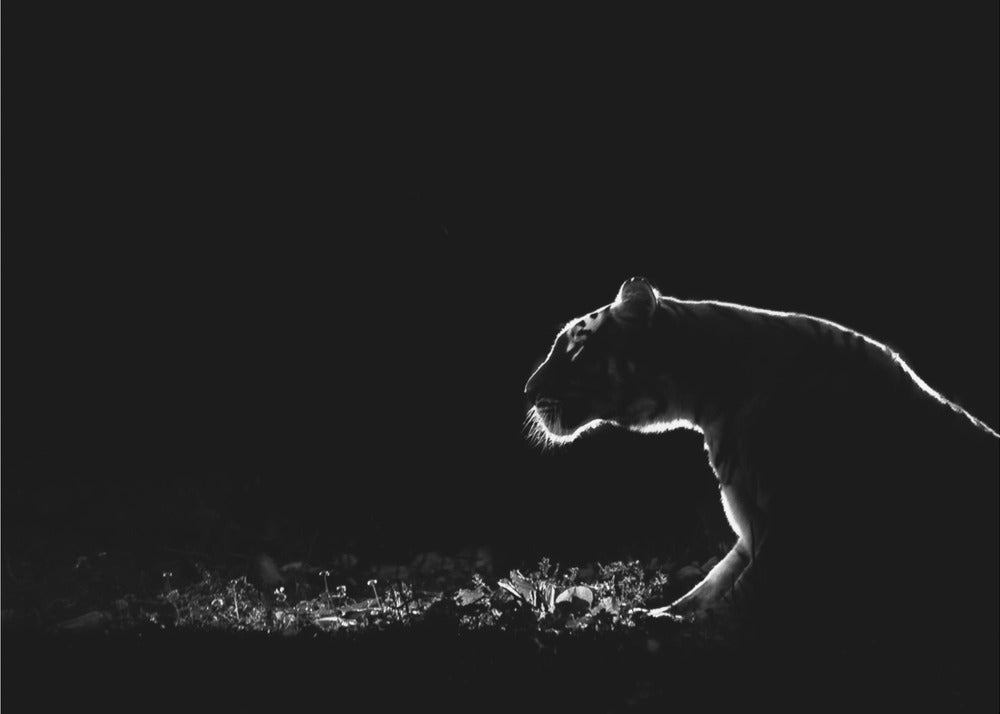 Untitled | Wallpaper