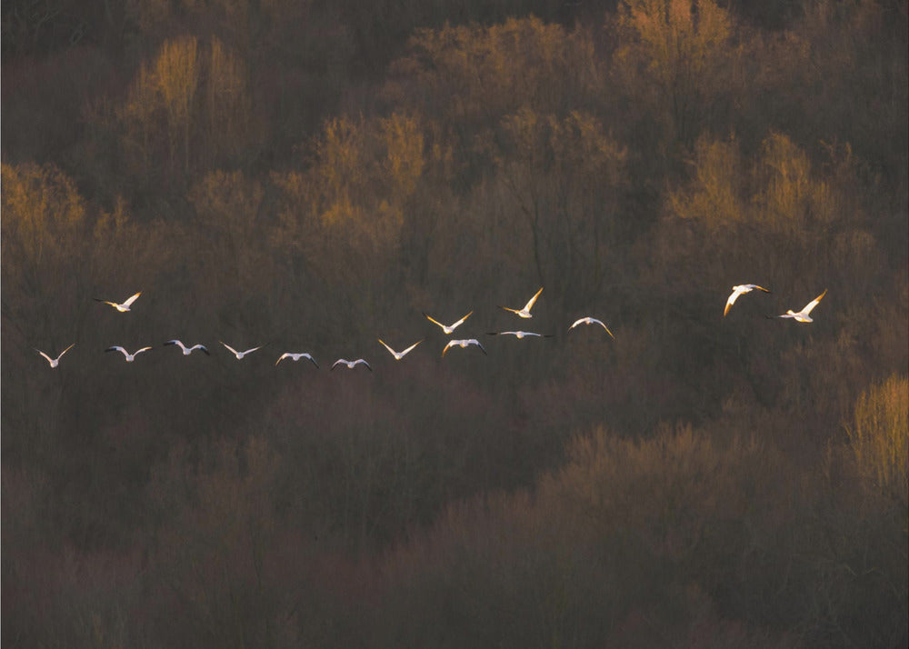 Morgenstimmung | Fototapeten