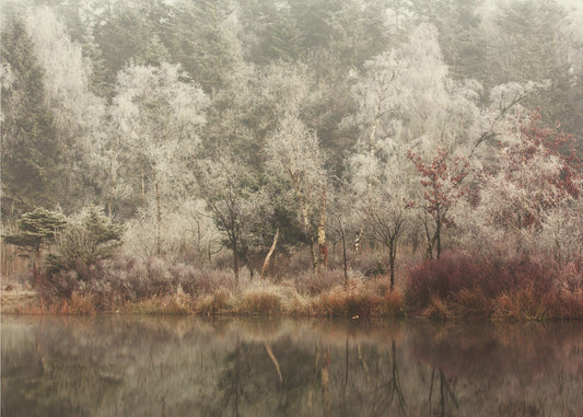 Frost | Tapeter