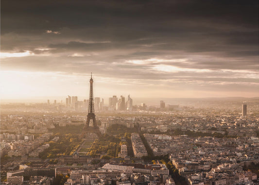 PARIS STORSLAG | Tapeter