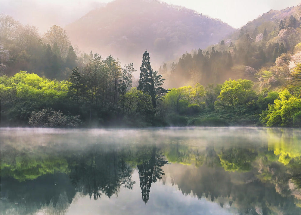 Morning calm | Wallpaper