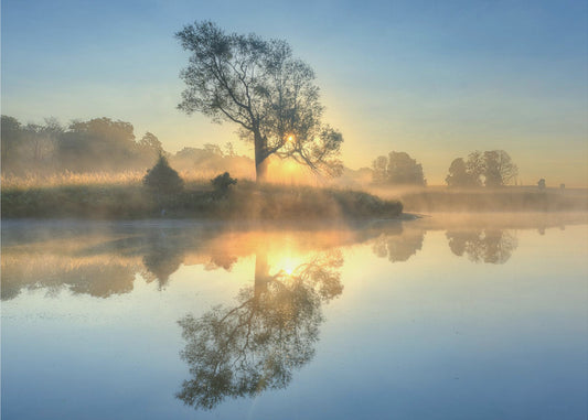 Morgonreflektion | Tapet