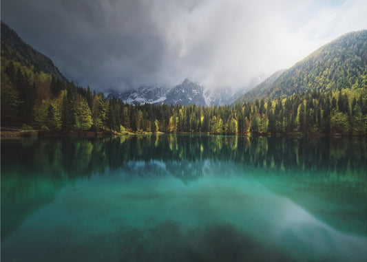 Menta. | Tapet