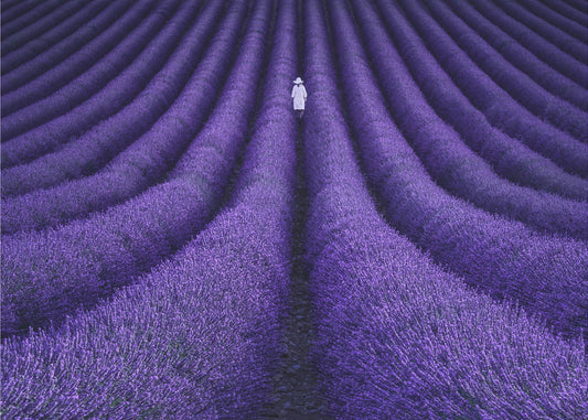 SHE | Wallpaper