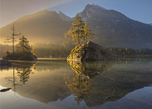 Gyllene morgon | Tapet