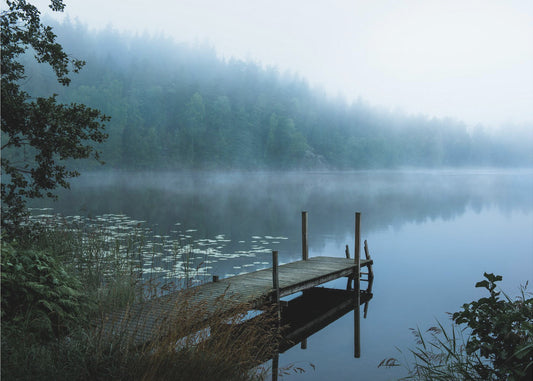 Stämningsfull morgon | Tapet