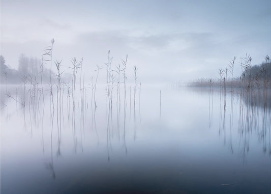 Namnlös | Bakgrund