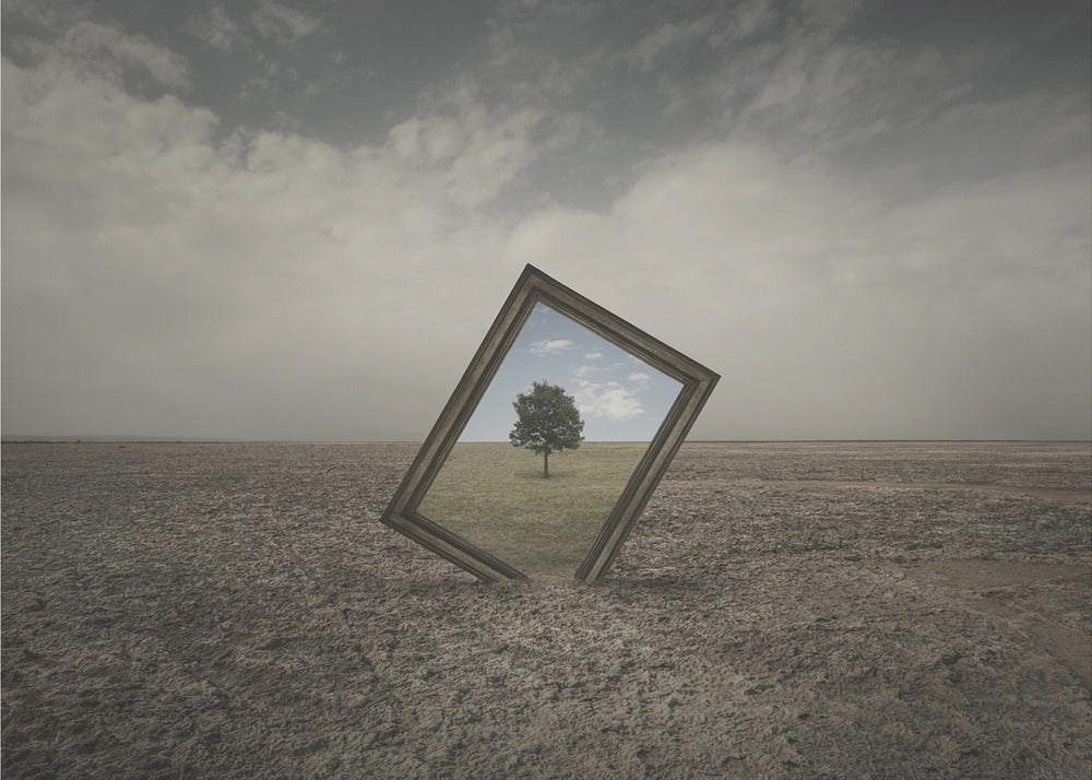 Naturens framtid | Canvastavla