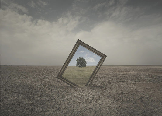 Naturens framtid | Canvastavla