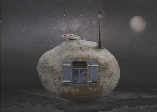 Stenhus | Canvastavla