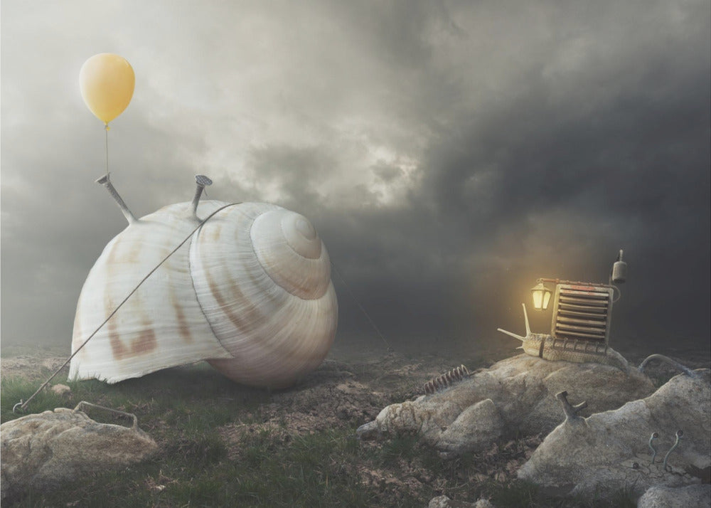 Återvänd Hem | Canvas