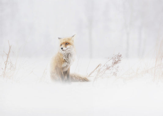 Väntar... | Tapet