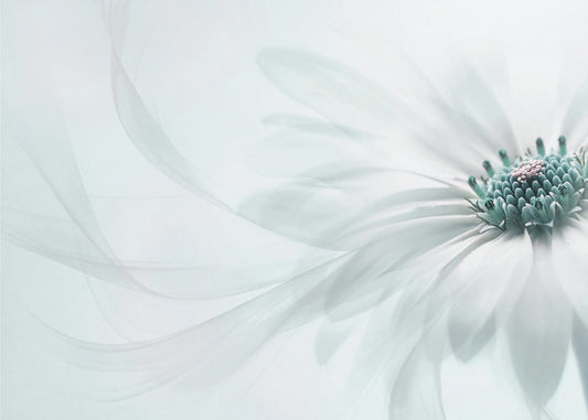 Purity | Canvas