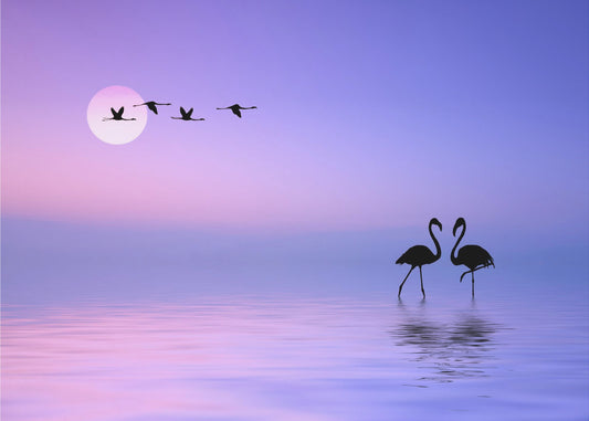 Flygande Flamingo | Tapet