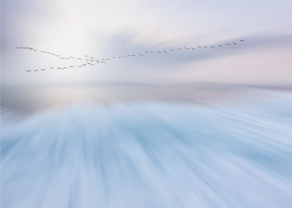 survoler | Papier Peint Photo