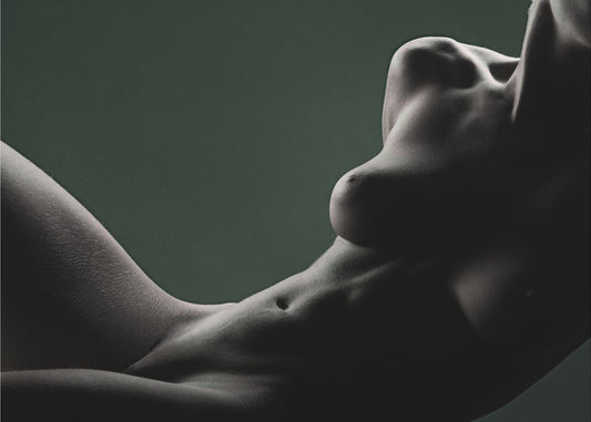 Elegans | Poster