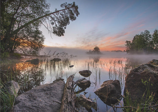 fridfull morgon | Tapet