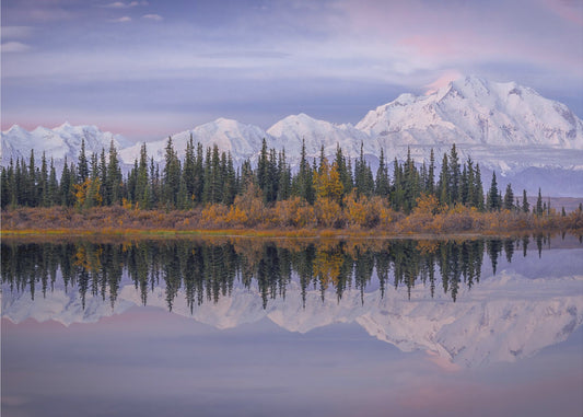 Denali Reflektion | Tapet