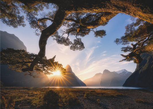 Solig dag i Milford Sound | Tapet