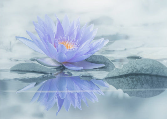 Reflektion | Tapet