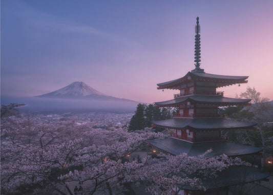 Berget Fuji Sakura | Tapet