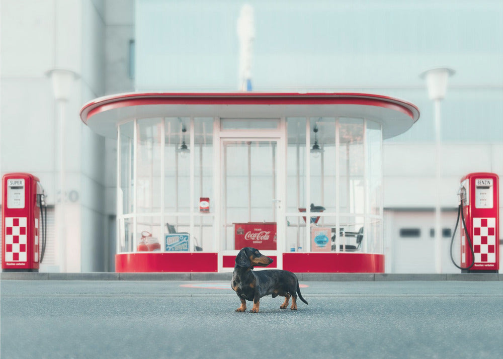 Le pompiste | Papier Peint Photo