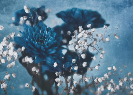 Dahlia | Tapet