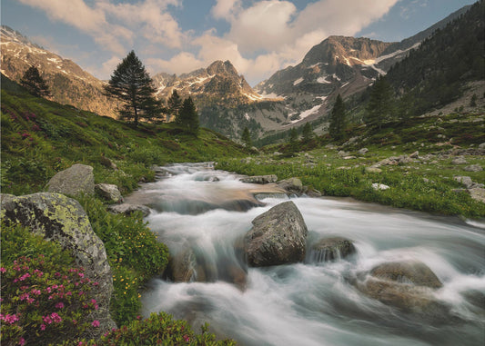 Maritima Alperna Park | Tapeter