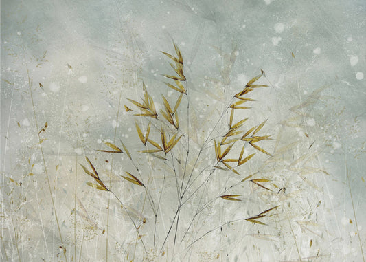 Wintertime | Wallpaper