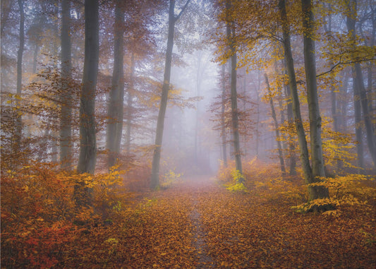 Oktoberstigen | Tapet