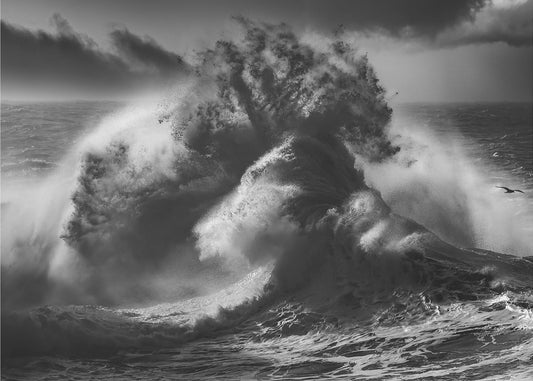 POSEIDON MAJESTÄT (Del 4) | Tapet