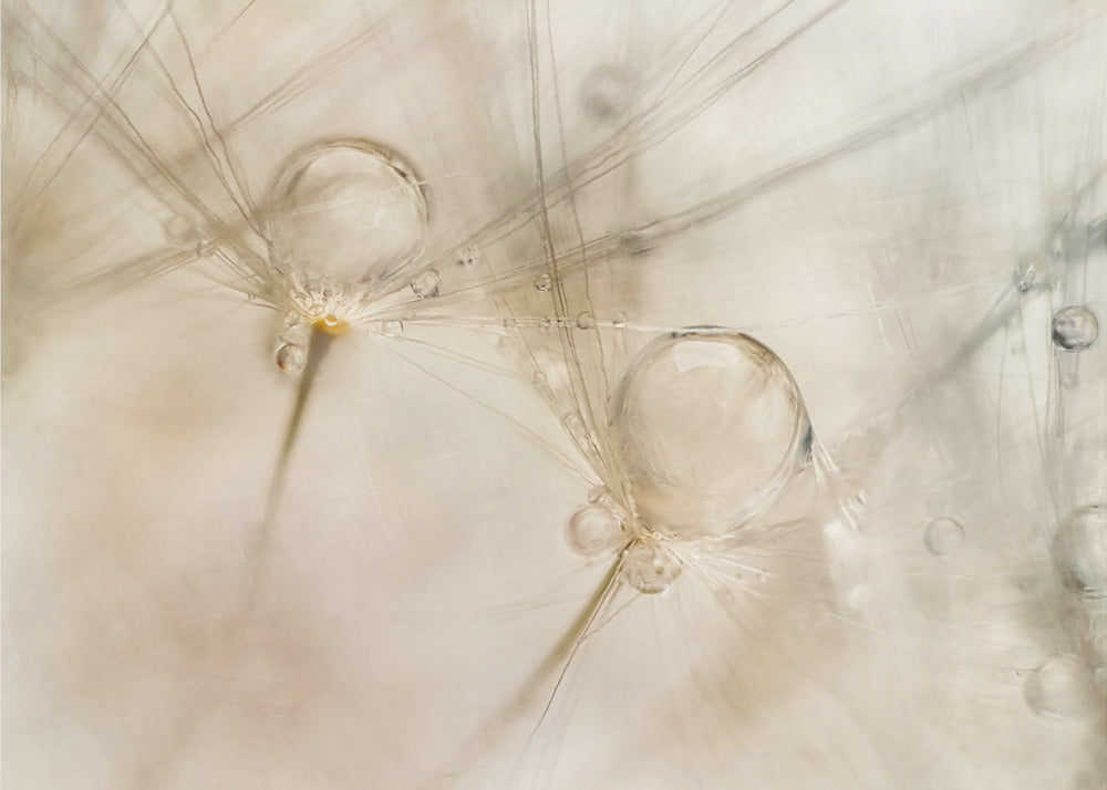 Aquarelles | Papier Peint Photo
