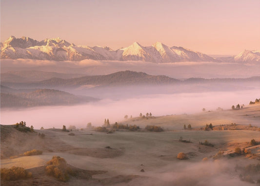 Dimma Tatra | Tapeter